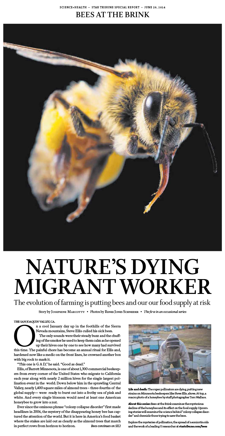 Nature's Dying Migrant Worker