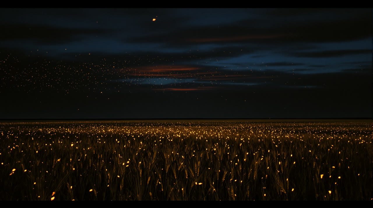 Dark wheat at night. Fireflies in the field, amber cloud on the horizon.